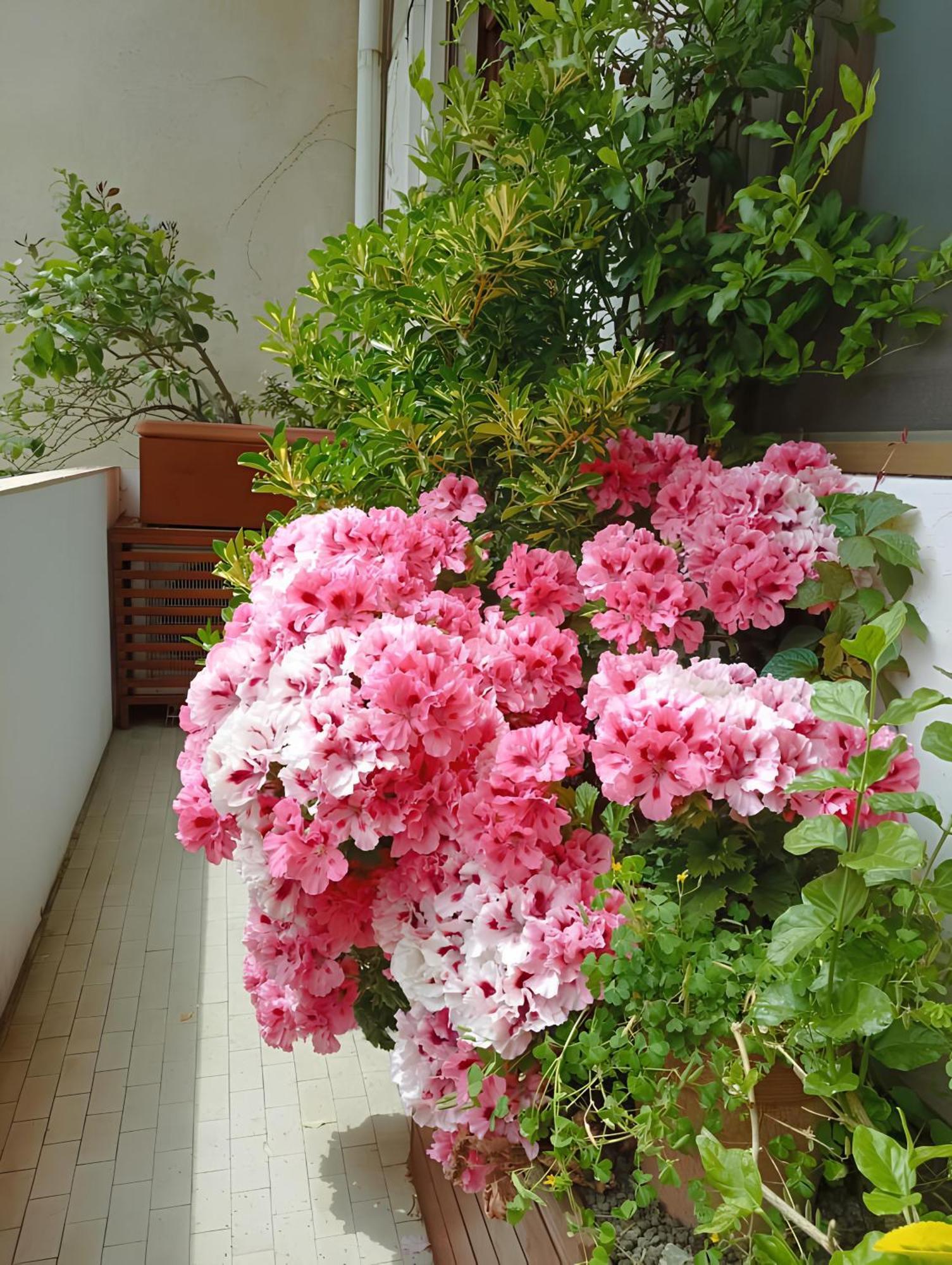 佛罗伦萨La Casa Dei Fiori公寓 外观 照片